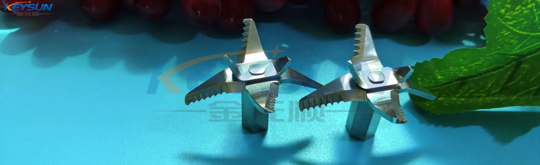 blender juicer blades